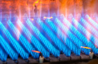 Fallgate gas fired boilers